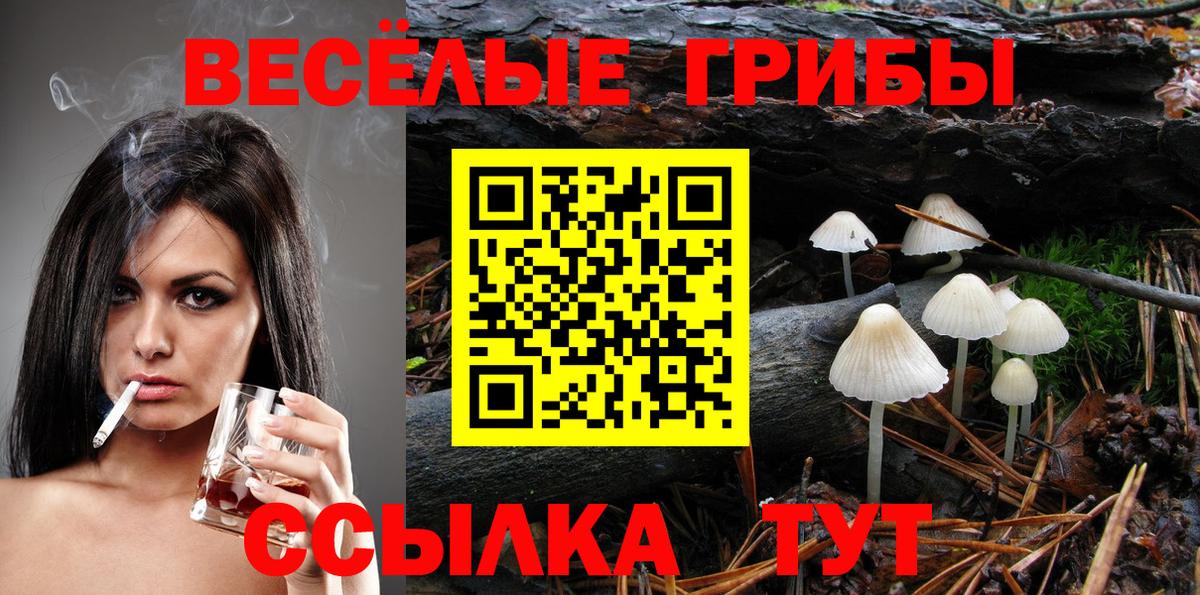 Псилоцибиновые грибы Cubensis Барабинск
